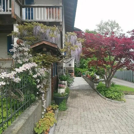 Am Rhein Apartment