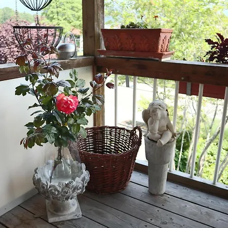 Appartement Am Rhein Koblach