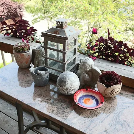 Appartement Am Rhein Koblach