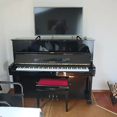 Apartment Am Rhein Koblach