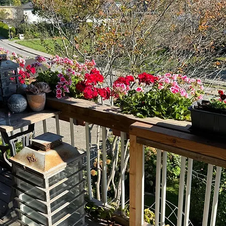 Am Rhein Appartement