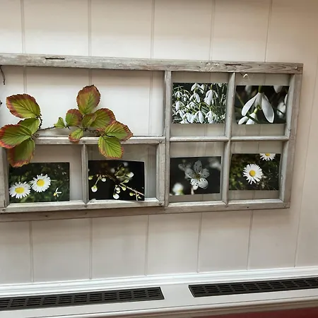 Appartement Am Rhein Koblach